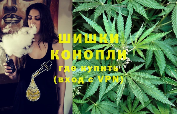 спиды Тавда