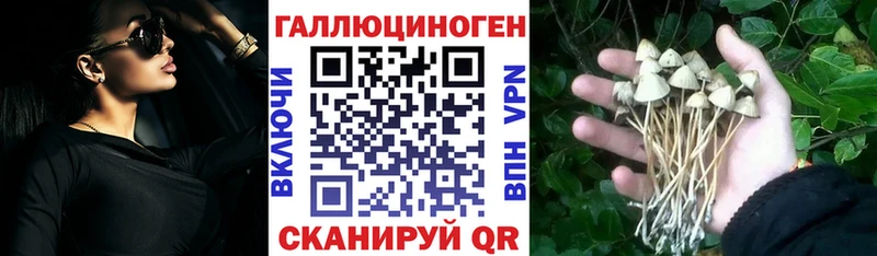 Галлюциногенные грибы Magic Shrooms  кракен ONION  Лаишево  где купить наркоту 